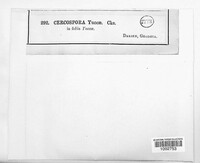 Image Associated With the Occurence